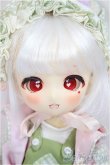 画像1: TinyFox/Candy/BJD　球体関節人形 A-25-02-19-246-NY-ZA (1)