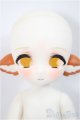 画像: TinyFox/‘Little Fox’1/6 points/BJD　球体関節人形 A-25-02-19-247-NY-ZA