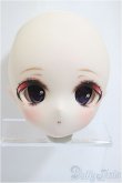 画像1: DD/DDH-01 (カスタマー様)カスタムヘッド/BJD　球体関節人形 A-25-02-19-332-KD-ZA (1)