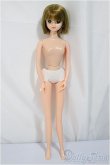 画像2: ジェニーフレンド/エリカ/BJD　球体関節人形 A-25-02-26-140-NY-ZA (2)