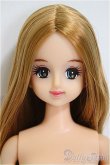 画像1: ジェニー/スターライトジェニー/BJD　球体関節人形 A-25-02-26-337-KD-ZA (1)