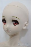 画像4: DDS/ランカ・リー/BJD　球体関節人形 A-25-02-26-398-NY-ZA (4)