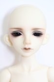 画像1: BJD CROBI/C-Line Lucien I-23-10-22-002-TO-ZI (1)