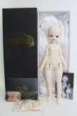 画像4: SHOUSHOU DOLL/Coco Human Body I-23-10-15-006-TO-ZI (4)