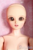 画像1: GLiB/Apple Doll I-24-10-20-1063-TO-ZI (1)