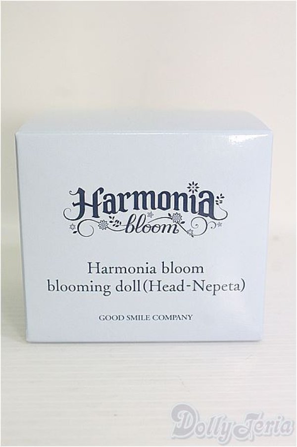 画像1: Harmonia bloom/ blooming doll(Head-Nepeta) I-24-11-17-1054-KN-ZI (1)