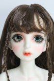 画像1: gem of doll/Fragrant Grasse 1/4 bjd Daphne Fullset I-24-02-04-1009-KN-ZI (1)