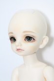 画像2: BJD CROBI/E-Line Tori I-24-02-25-1009-TO-ZI (2)