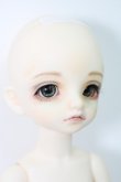 画像3: BJD CROBI/E-Line Tori I-24-02-25-1009-TO-ZI (3)