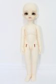 画像4: BJD CROBI/E-Line Tori I-24-02-25-1009-TO-ZI (4)