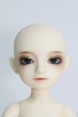 画像1: BJD CROBI/E-line Tei I-24-04-07-1006-KN-ZI (1)