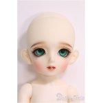 画像: BJD CROBI/E-Line Ara I-24-06-02-1010-TO-ZI