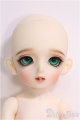 画像: BJD CROBI/E-Line Ara I-24-06-02-1010-TO-ZI