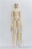 画像4: Dollmore/Gramor Model Doll Ripley Days I-24-06-02-1005-TO-ZI (4)