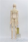 画像5: Dollmore/Gramor Model Doll Ripley Days I-24-06-02-1005-TO-ZI (5)