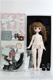 画像6: PUYOO DOLL/KUMAKO:KUMAKO Marching Band ver. Limited I-24-09-01-1006-TO-ZI (6)