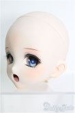 画像2: DD/DDH-10カスタムヘッド(金魚様) I-24-09-29-1076-TO-ZI (2)