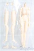 画像1: 1/6ドール/Stream Body(UNIVERSAL POOYAN) I-24-10-20-1065-YB-ZI (1)