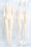 画像2: 1/6ドール/Stream Body(UNIVERSAL POOYAN) I-24-10-20-1065-YB-ZI (2)