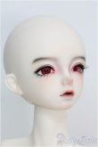 画像3: 【SALE】Gem of Doll/Wall I-24-10-27-1005-TO-ZI (3)