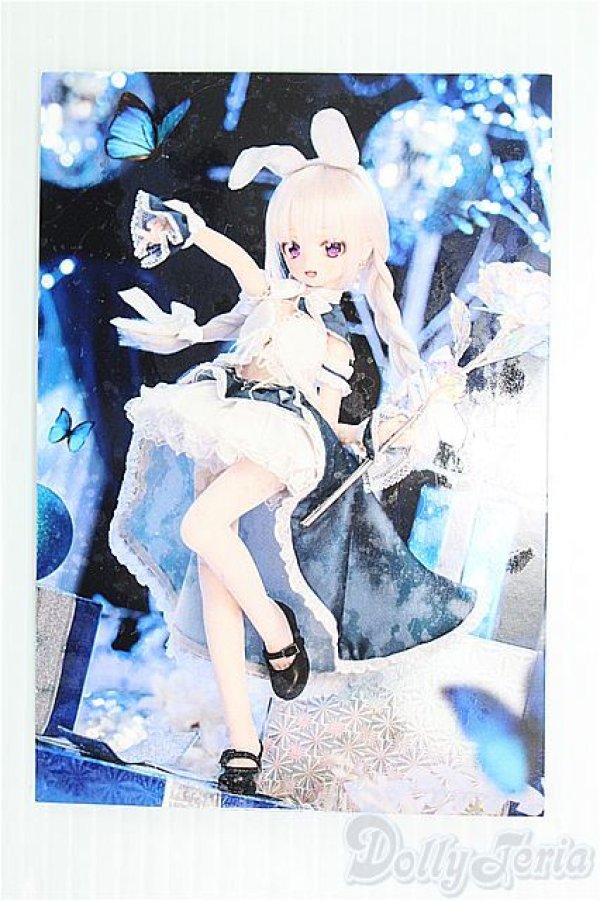 画像5: MDD/OF:衣装セット I-24-12-22-1080-YB-ZI (5)