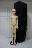 画像4: spiritdoll/ヘッド＆male　eleganceボディ Y-24-02-28-001-TN-ZY (4)