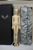 画像1: spiritdoll/ヘッド＆male　eleganceボディ Y-24-01-24-001-TN-ZY (1)