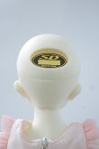 画像5: SDM/ワンオフモデルF-50Ciera様里限定 U-23-11-8-206-TN-ZU (5)