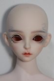 画像1: Ring Doll/Morin　Fullset Y-24-05-08-051-TN-ZY (1)