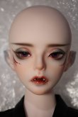 画像2: Ring Doll/Morin　Fullset Y-24-02-21-001-TN-ZY (2)