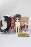 画像2: withdoll/Penguins Holiday - Pooky A-24-04-10-1136-TN-ZU (2)