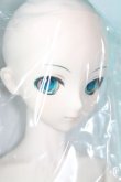 画像4: DD /初音ミク A-24-05-22-2006-KD-ZA (4)