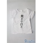 画像: SD&DD/OF:Tシャツ U-24-05-28-088-TN-ZU