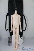 画像1: spritdoll/Elegance Boy Single Torso Body A-24-02-05-1093-TN-ZU (1)