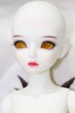 画像3: MYOUDOLL/1/4 Delia S-24-02-11-275-KD-ZS (3)