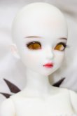 画像4: MYOUDOLL/1/4 Delia S-24-02-11-275-KD-ZS (4)