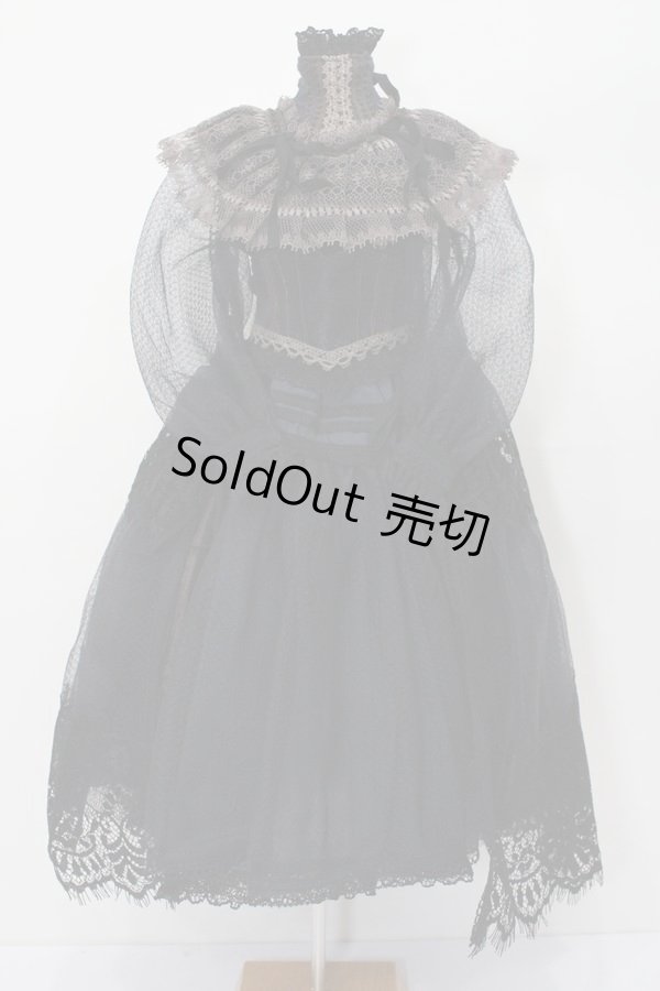 画像1: SD/OF:Lace Shower dress:Astrantia様製 S-23-11-15-026-GN-ZS (1)