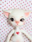 画像1: IslandDoll/Pocket pets -An An S-24-06-16-235-GN-ZS (1)