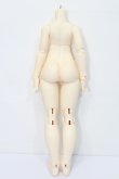 画像2: XAGADOLL/1/4 Girl Body(X-F-40) S-24-06-16-234-GN-ZS (2)