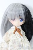 画像1: azone/リルフェアリー リアム:きぼうのほとり S-24-09-01-041-GN-ZS (1)