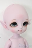 画像3: LUTS/Tiny Delf HANSEL Elf ver. S-24-09-29-009-GN-ZS (3)