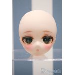 画像: 【新宿マルイアネックス店 店頭販売商品】DDH-01/カスタムヘッド:coffia様製