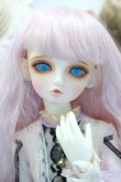 画像1: 【新宿マルイアネックス店 店頭販売商品】LUTS/KDF-19 (1)