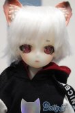 画像1: 【新宿マルイアネックス店 店頭販売商品】DOLL ZONE/Miyou (1)