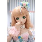 画像: 【新宿マルイアネックス店 店頭販売商品】DD/D’COORD　DDH-08ヘッド