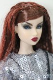 画像3: Integrity Toys/NuFace Fashion Royality Erin Clash Control S-25-02-23-186-GN-ZS (3)