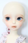 画像2: iMda DOLL 2.6/Amellia S-25-03-09-008-GN-ZS (2)