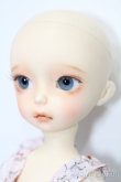 画像3: iMda DOLL 2.6/Amellia S-25-03-09-008-GN-ZS (3)