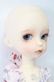 画像4: iMda DOLL 2.6/Amellia S-25-03-09-008-GN-ZS (4)