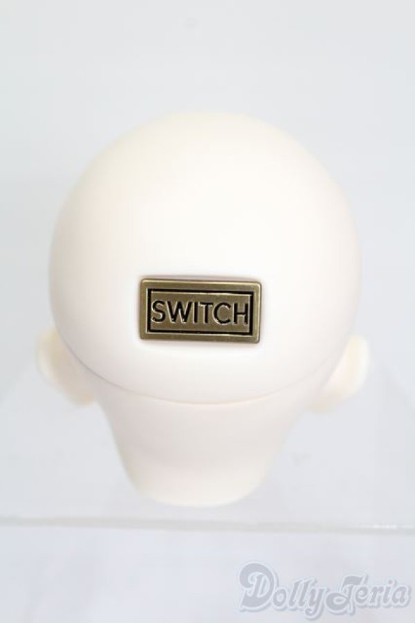 画像4: SWITCH/TAERIN　ヘッド S-25-03-09-115-GN-ZS (4)